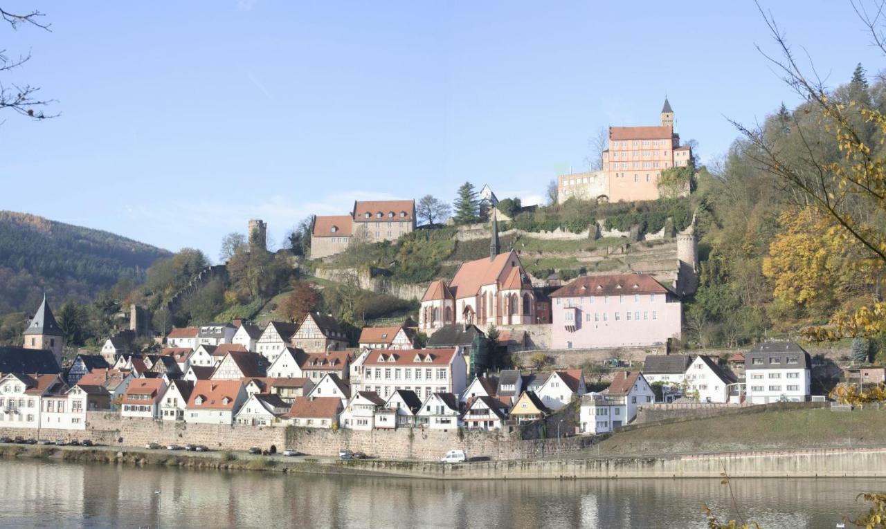 Ferienwohnung Christel Hirschhorn-Neckar Exteriér fotografie