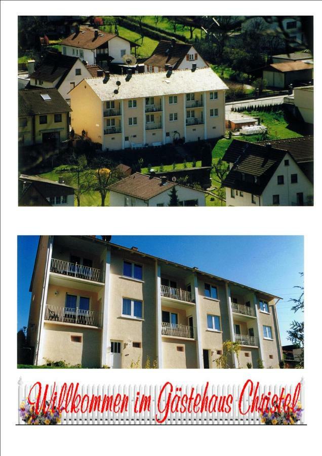 Ferienwohnung Christel Hirschhorn-Neckar Exteriér fotografie