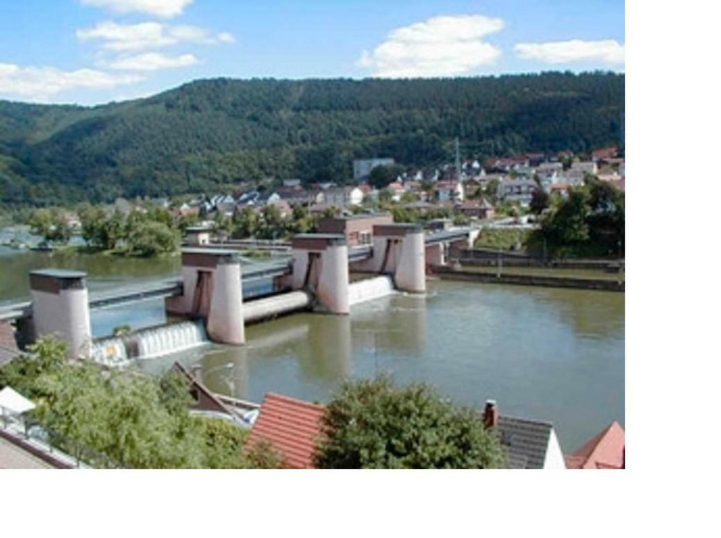Ferienwohnung Christel Hirschhorn-Neckar Exteriér fotografie