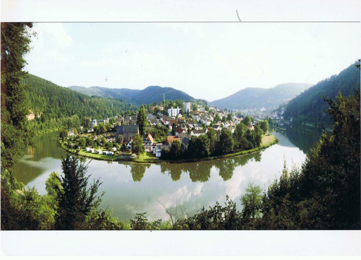 Ferienwohnung Christel Hirschhorn-Neckar Exteriér fotografie